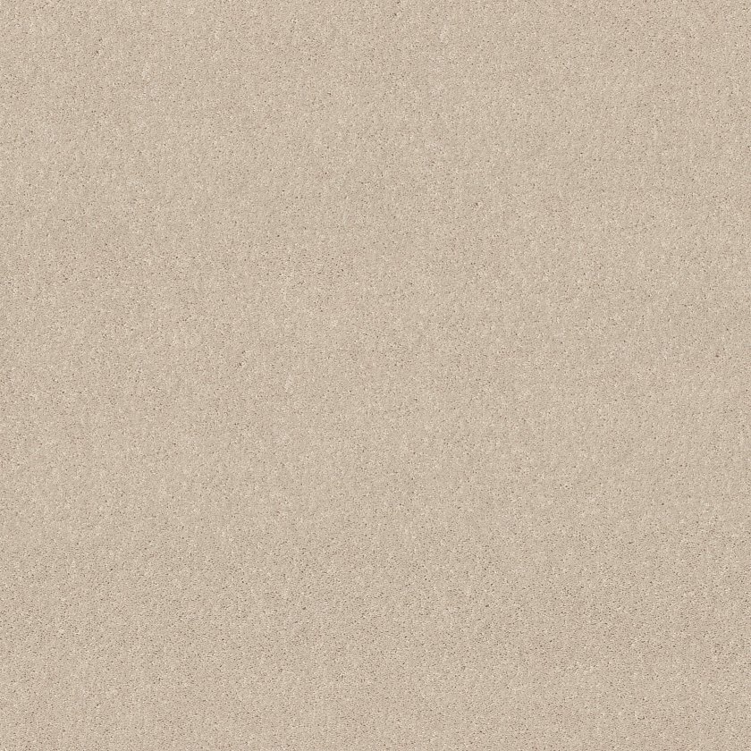 DYERSBURG II 15' - Image 2