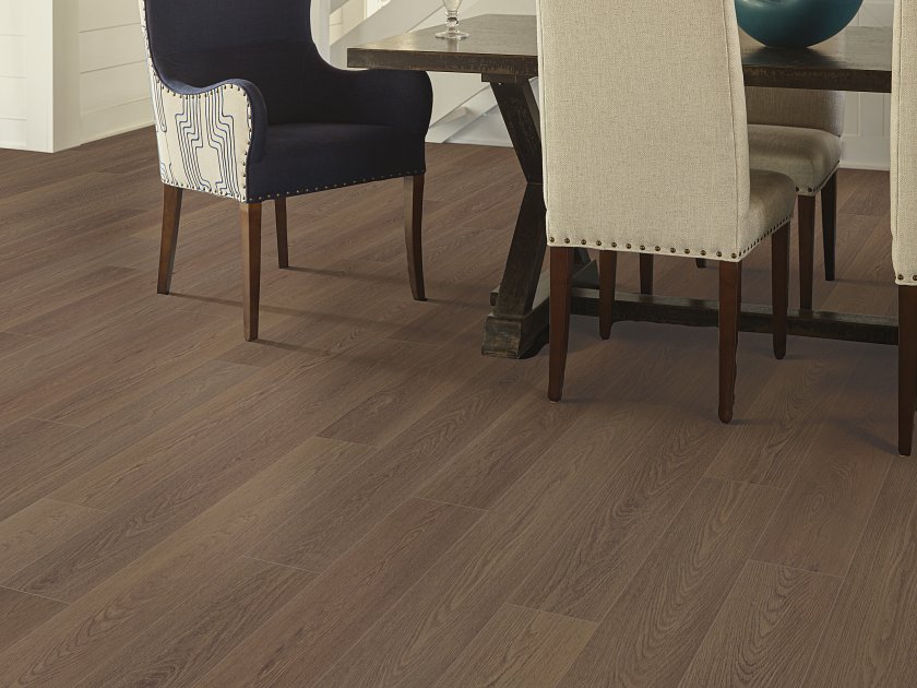 DISTINCTION PLUS - Image 3