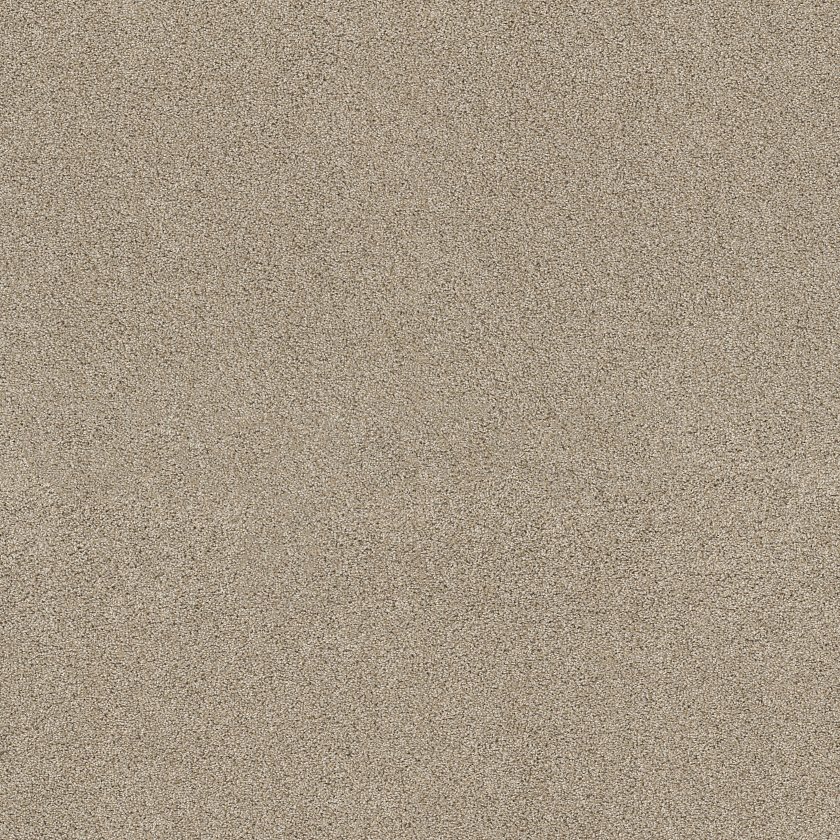 OCEAN VIEW - Image 4
