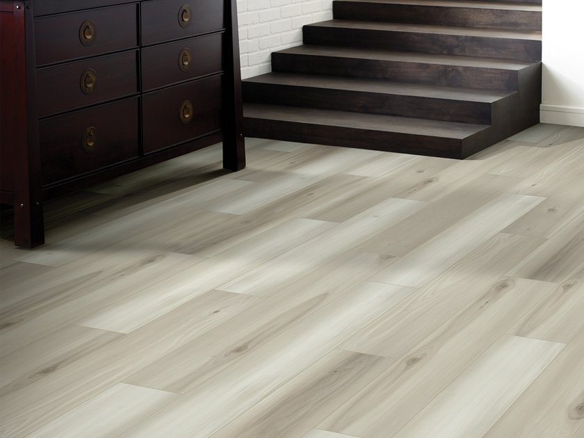 DISTINCTION PLUS - Image 4
