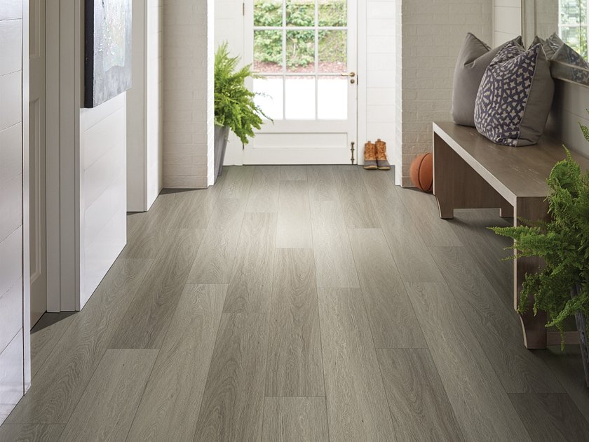 DISTINCTION PLUS - Image 6
