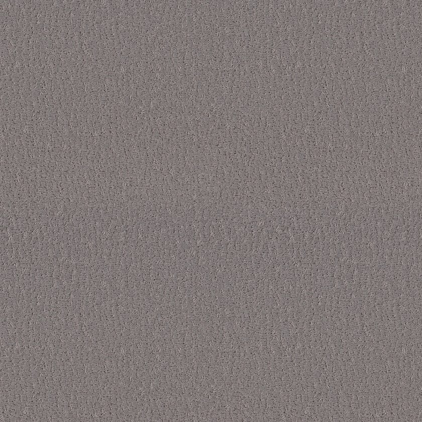STUDIO SET - Image 3