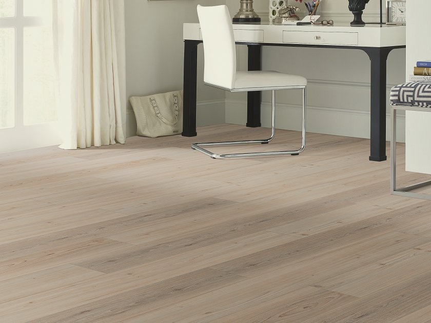 DISTINCTION PLUS - Image 9