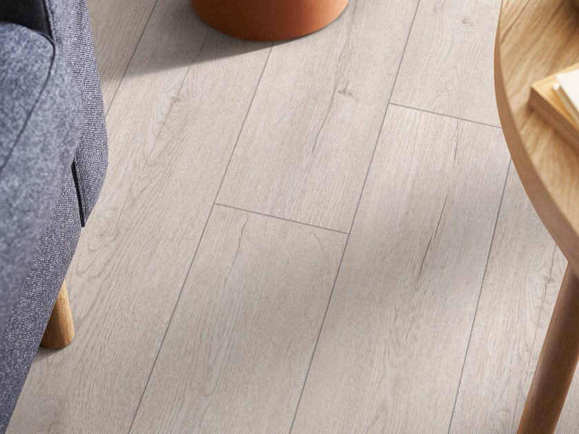 DISTINCTION PLUS - Image 10