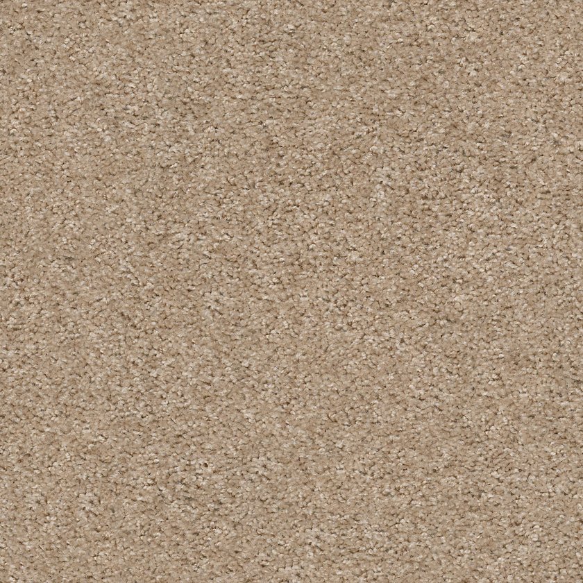 VALIANT - Image 4