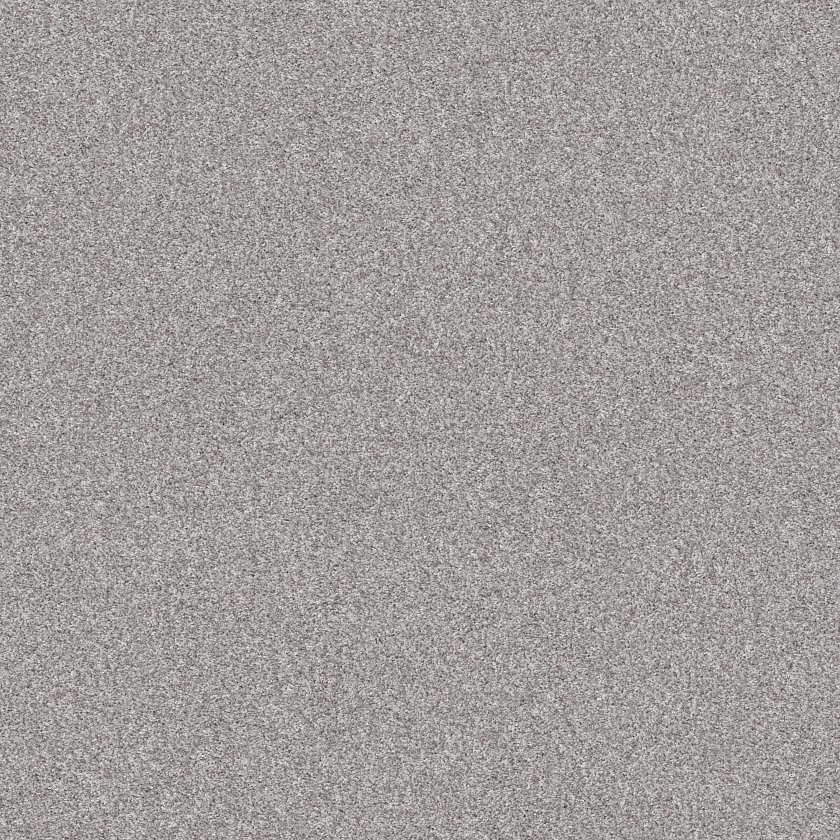 SOLSTICE - Image 3