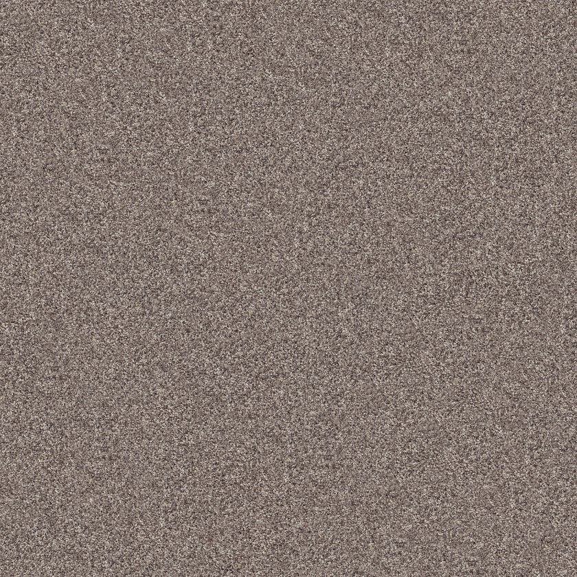 SOLSTICE - Image 2