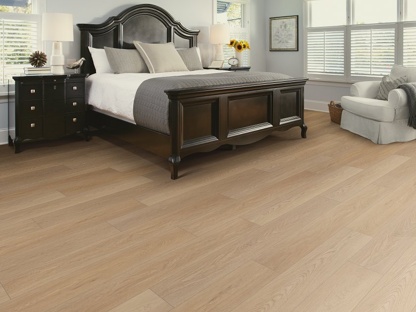 DISTINCTION PLUS - Image 11