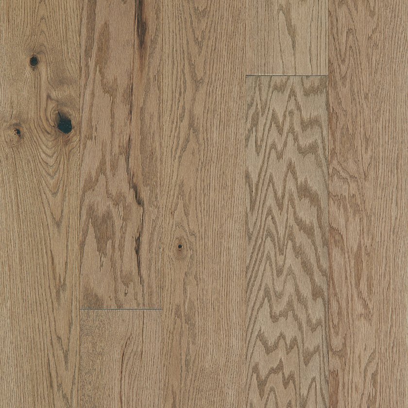 EXPLORATION OAK - Image 4