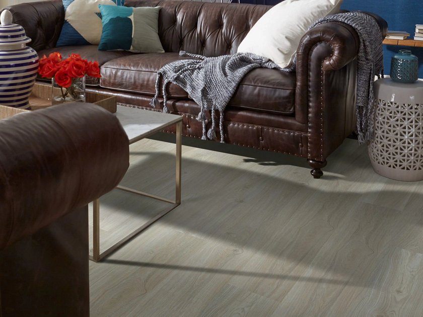 PRIME PLANK - Image 5