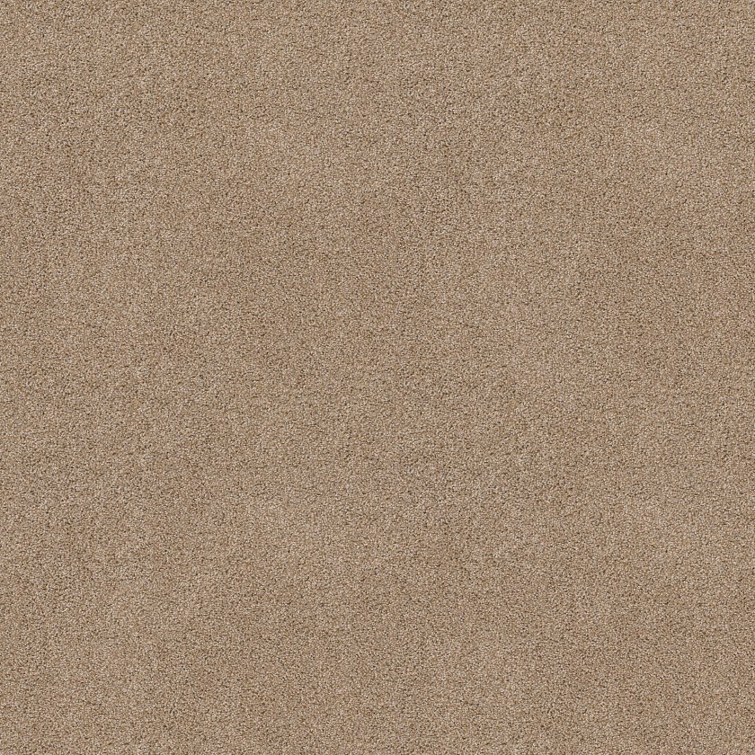 OCEAN VIEW - Image 2