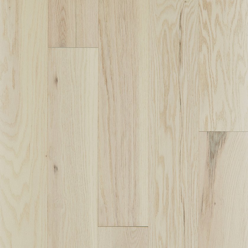 EXPLORATION OAK - Image 3