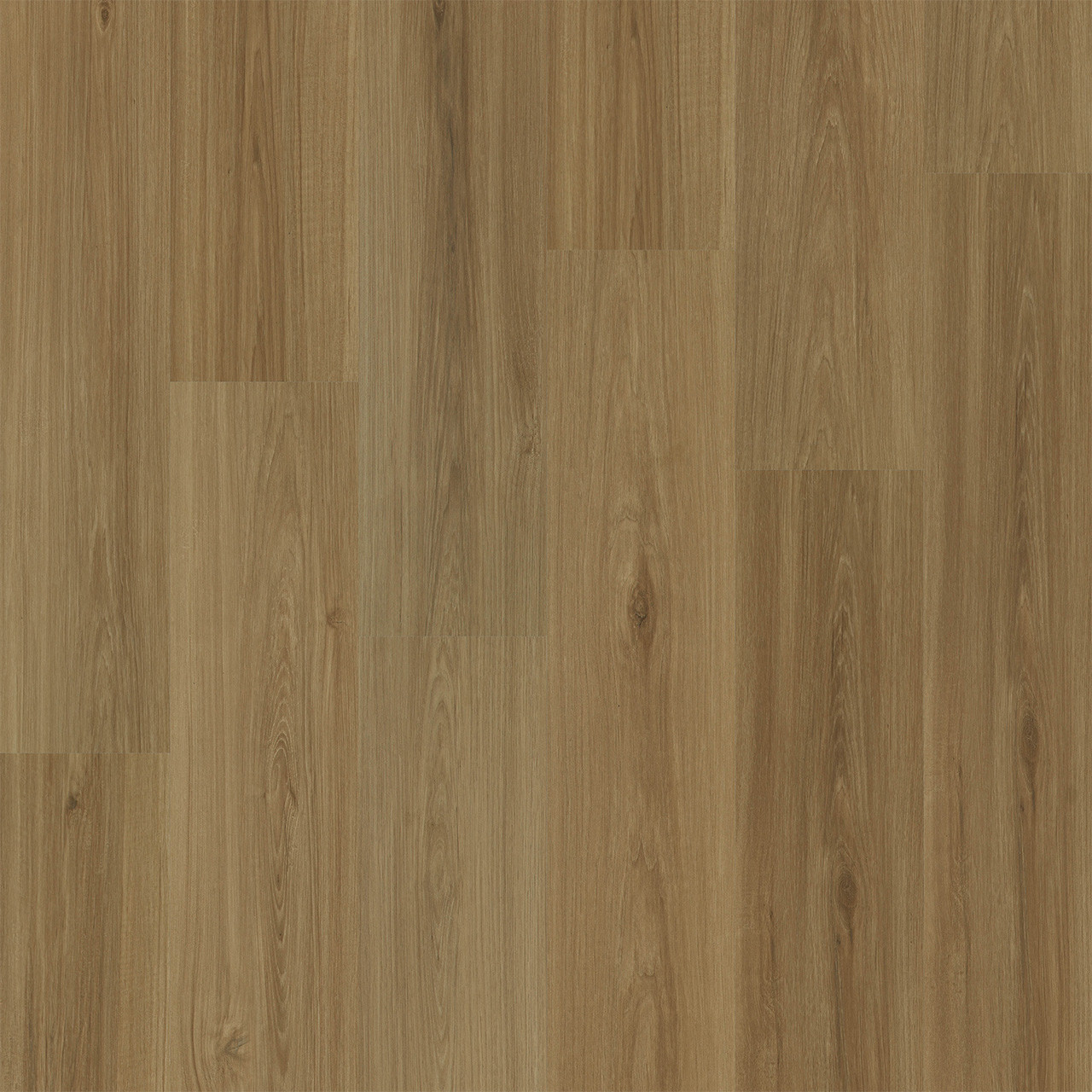 RESTORE - Image 4