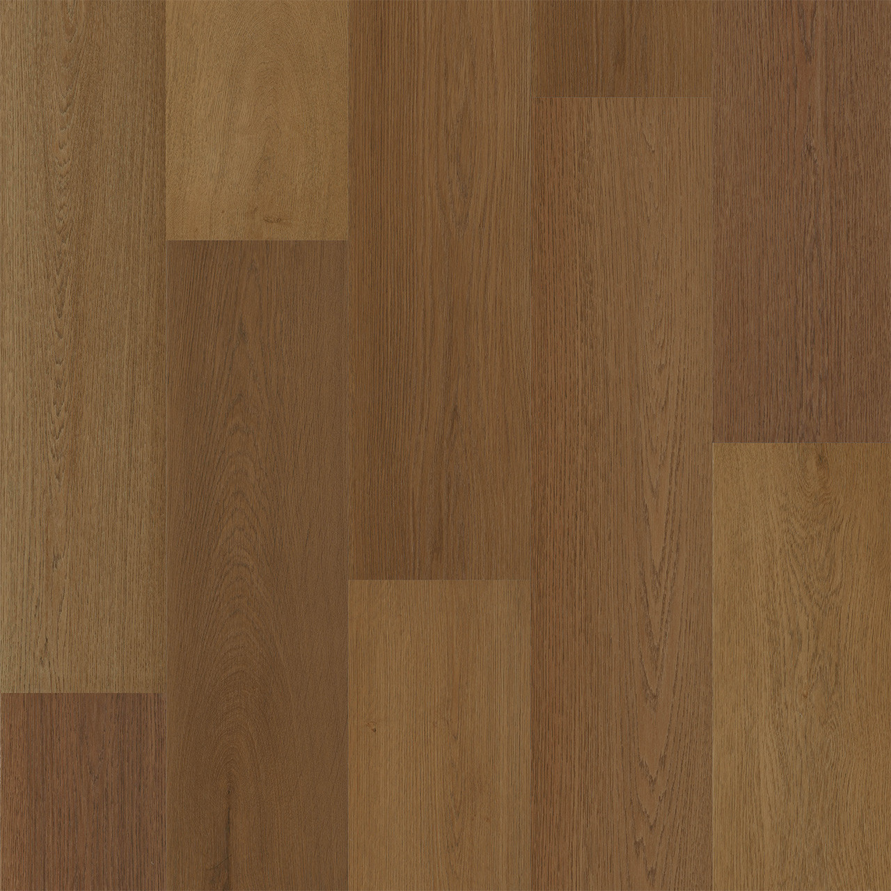 PREFERENCE - Image 4