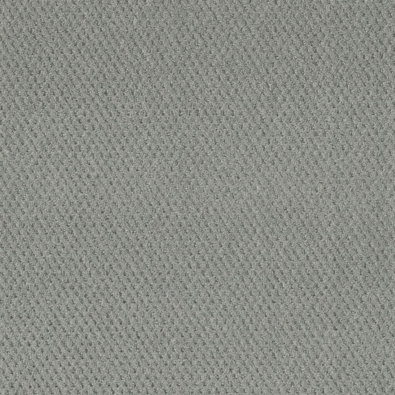 PRIME - Image 3