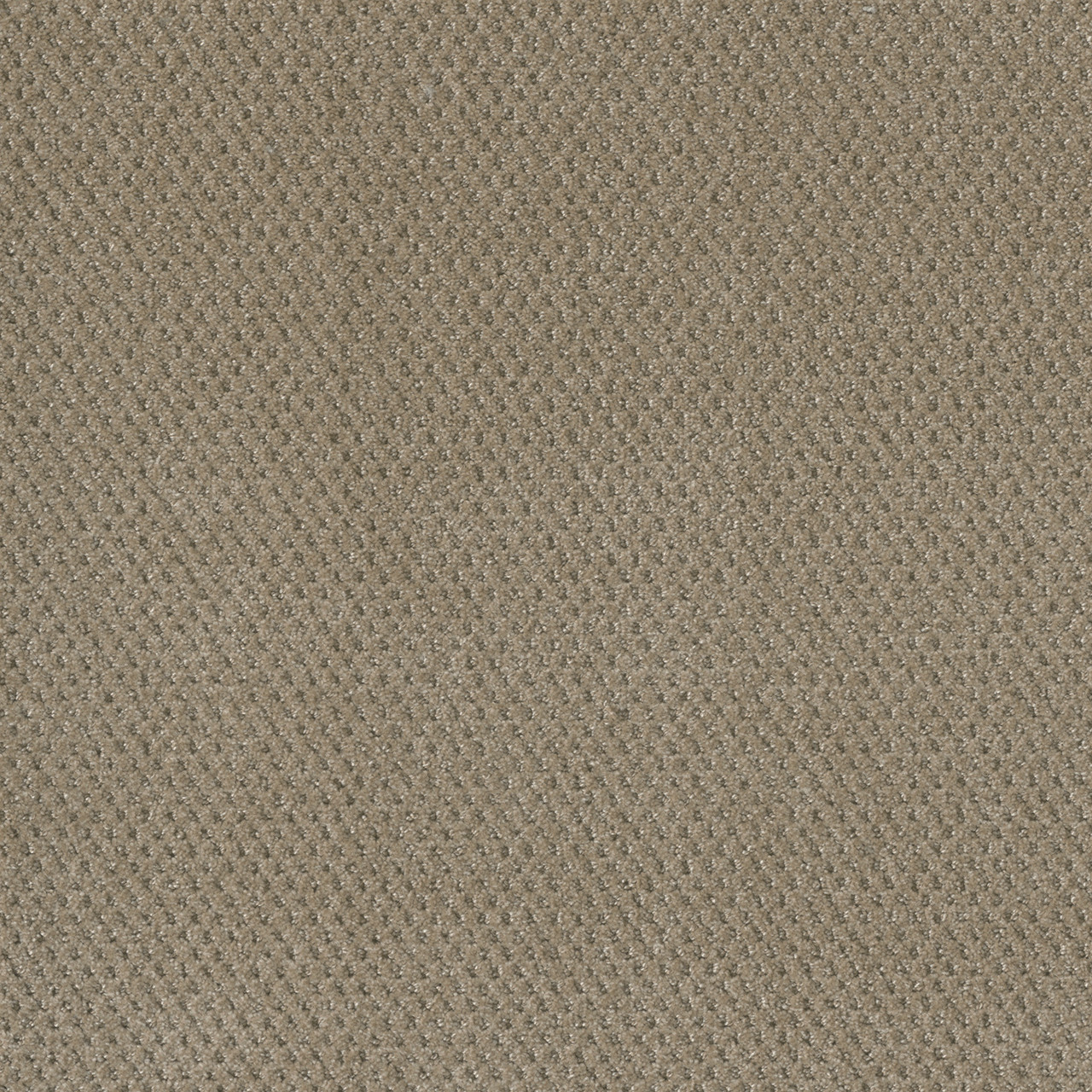 PRIME - Image 2