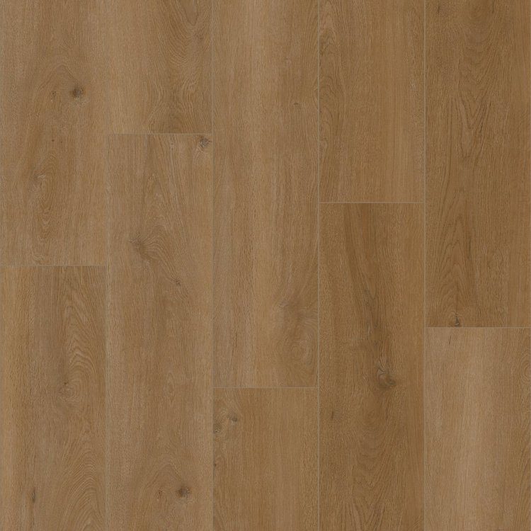 Timber Choice II