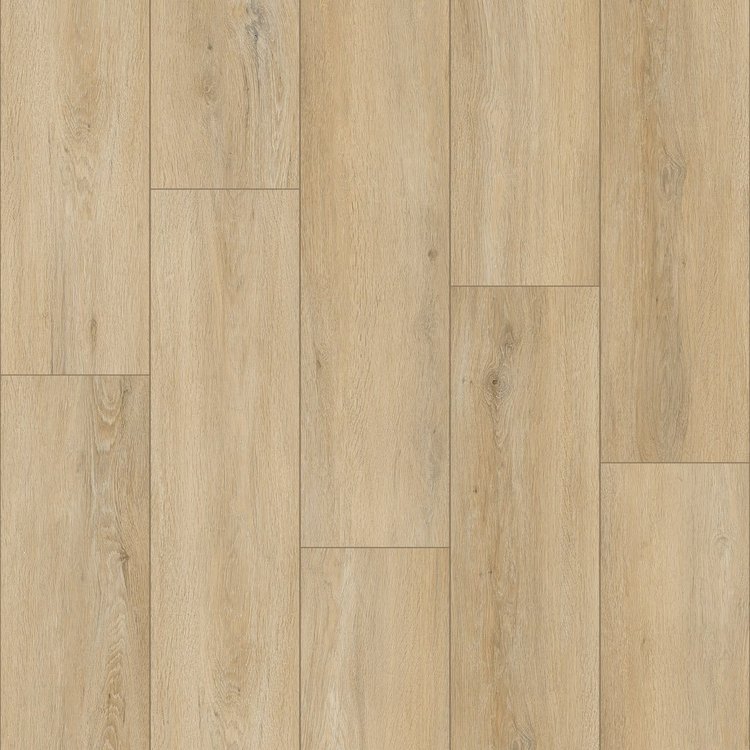 Timber Choice II - Image 4
