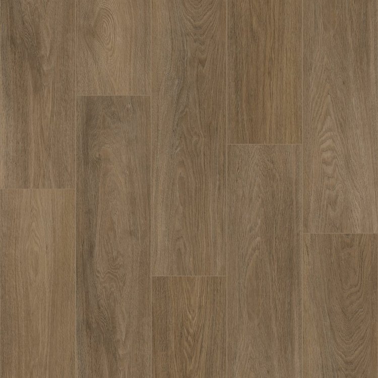 Timber Choice II - Image 2