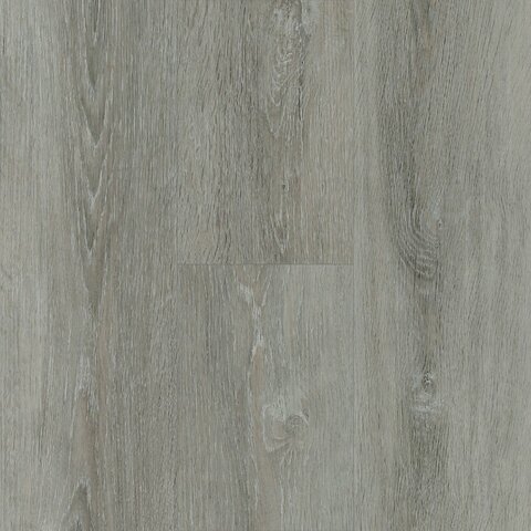 Miracle - Image 4