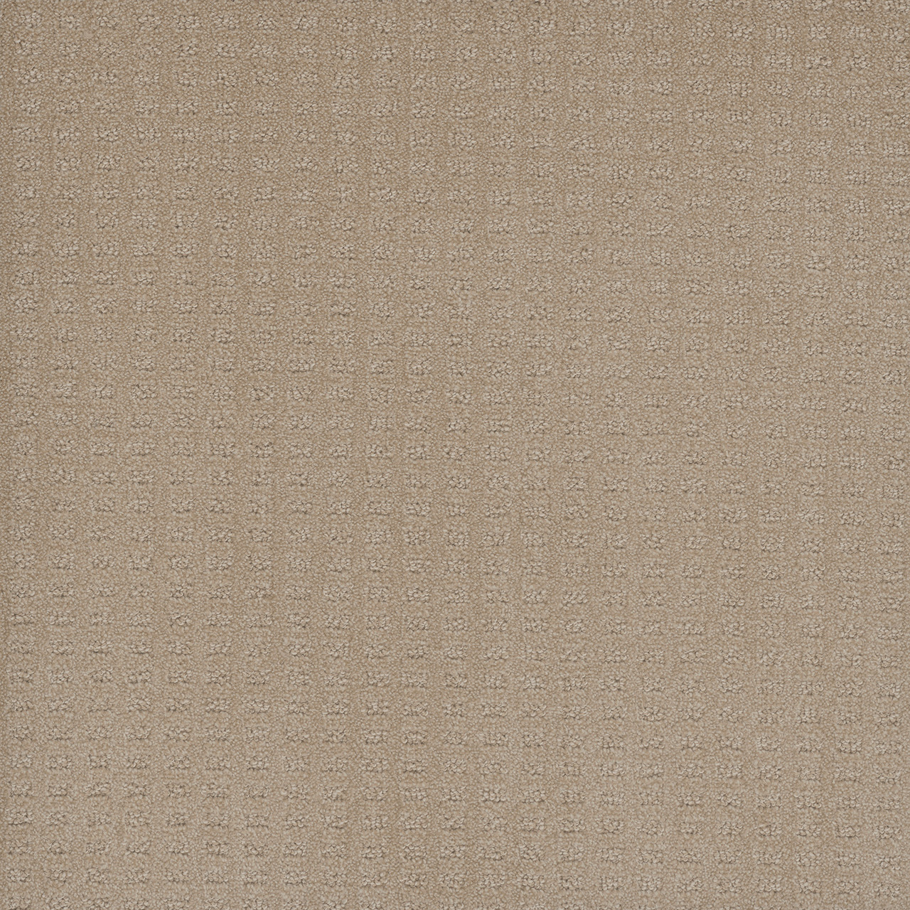 CASPIAN - Image 2