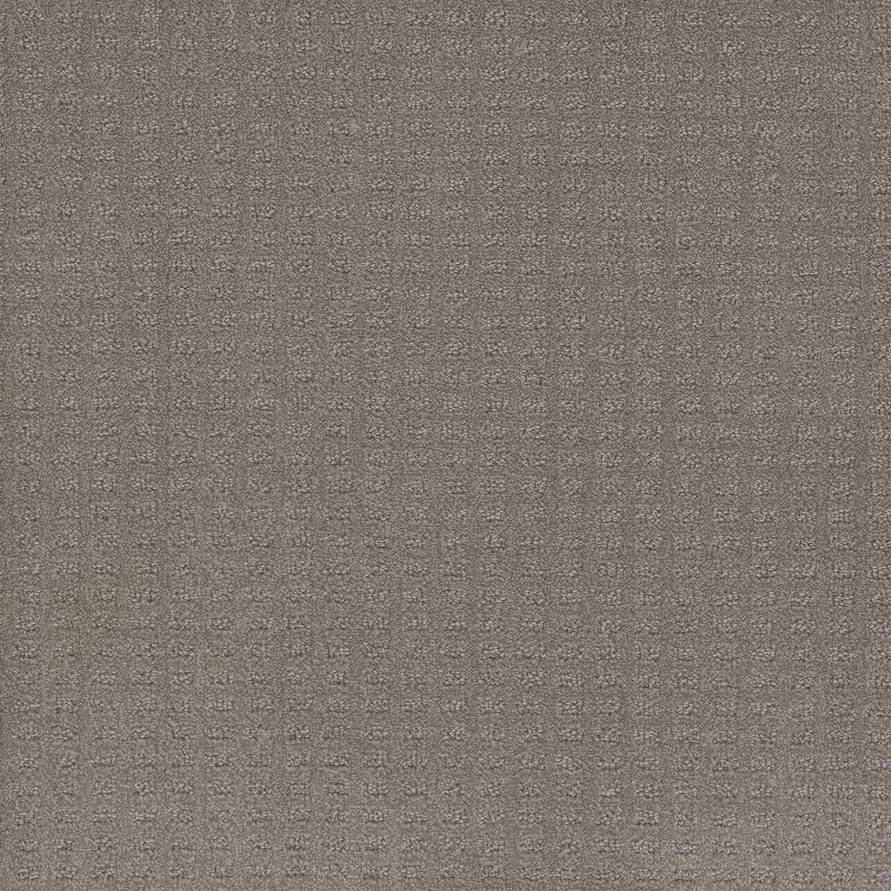 CASPIAN - Image 3