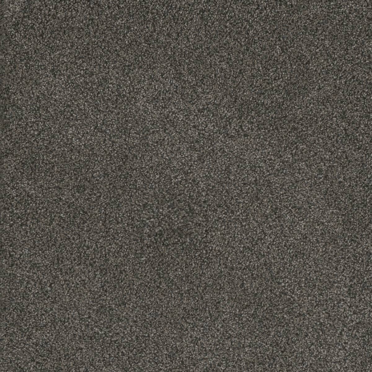 Monte Carlo III - Image 5