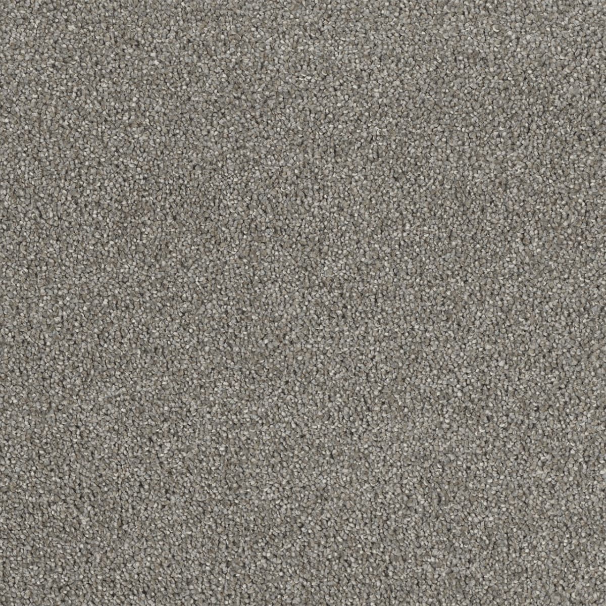 Rock Solid II - Image 4