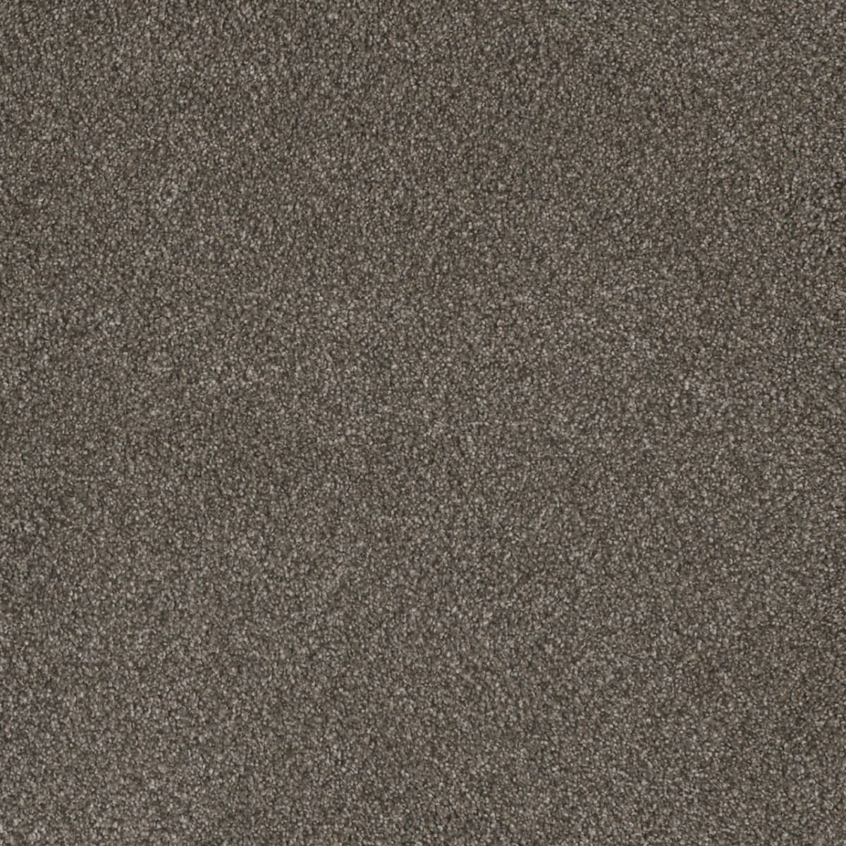 Monte Carlo III - Image 3