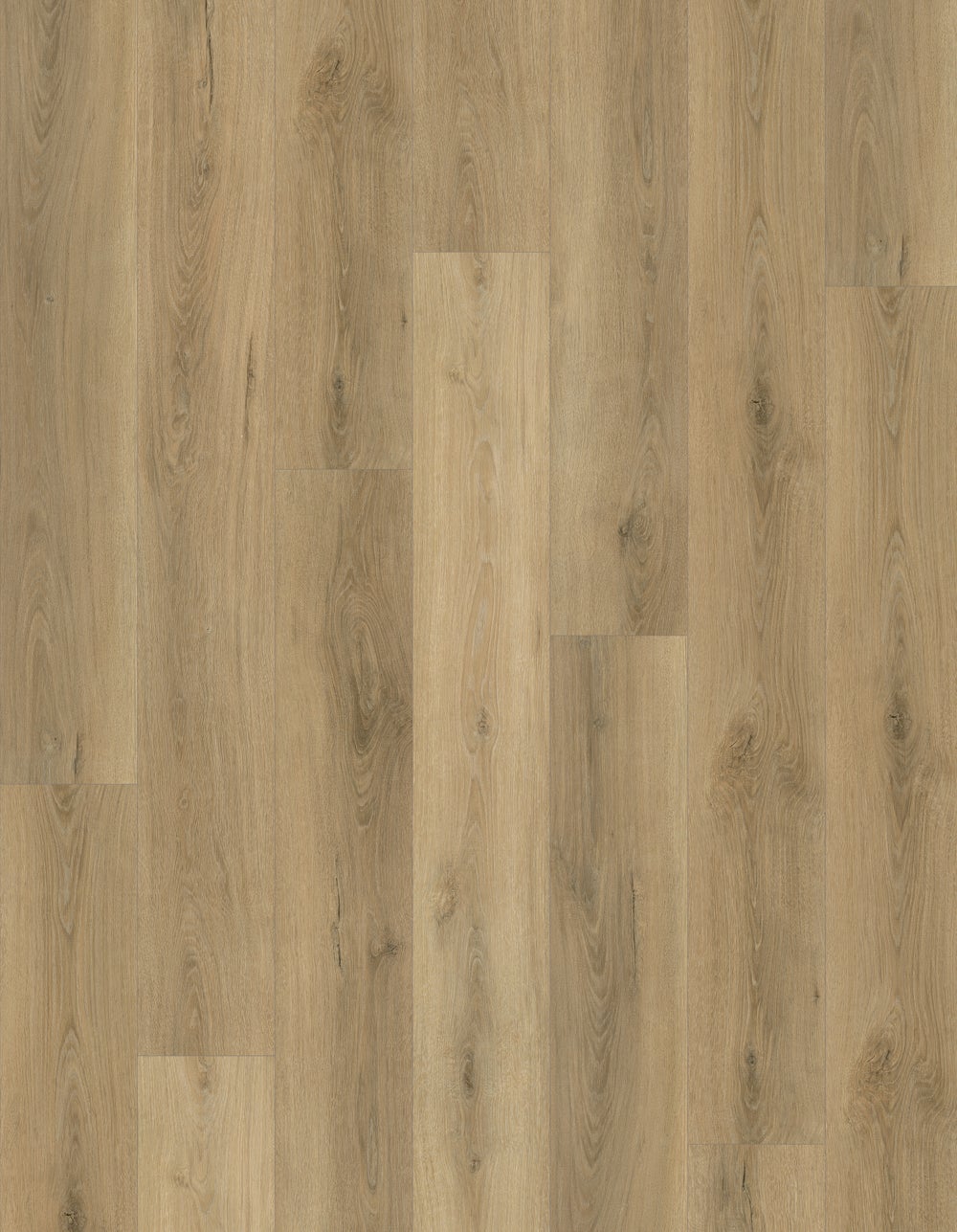 Olympus - Image 2