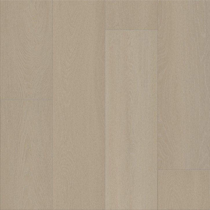 Home - Image 4