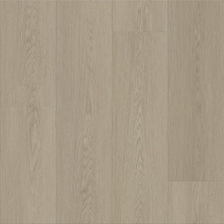 Renegade - Image 4