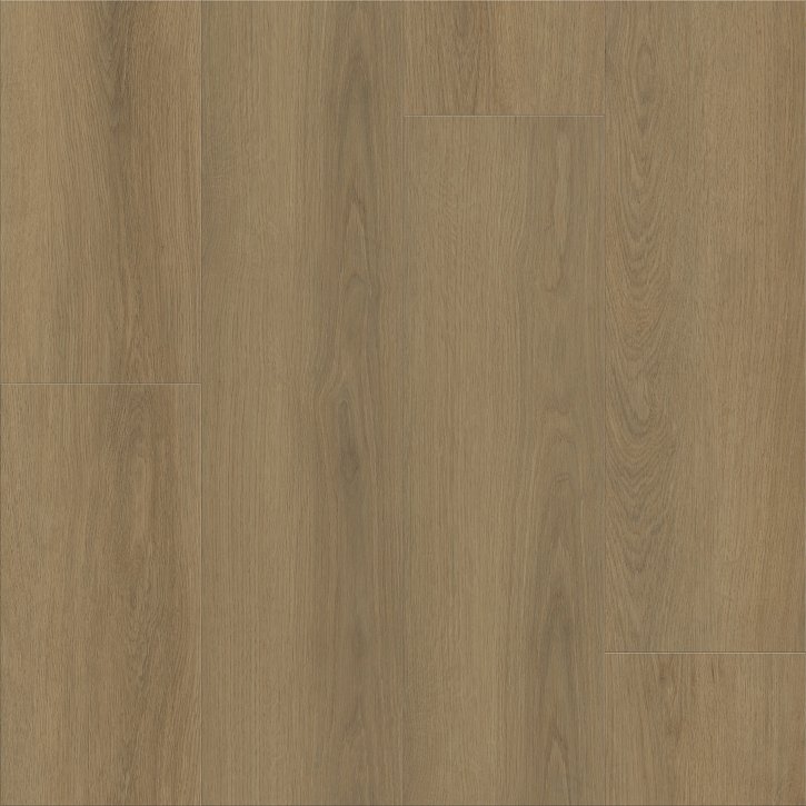 Home - Image 3