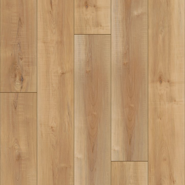 Domain - Image 4