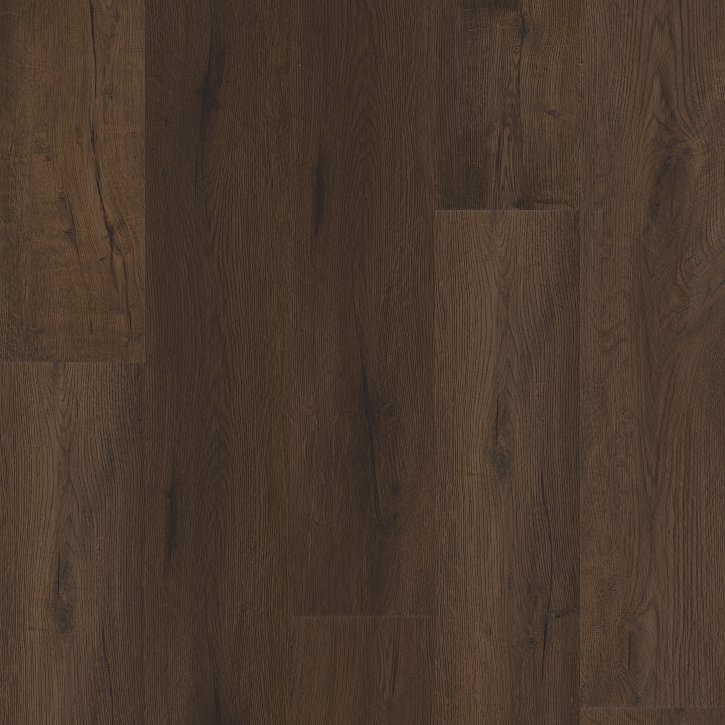 Temporal - Image 3