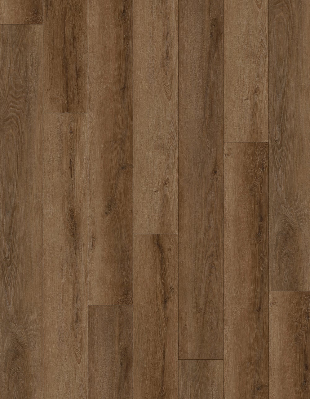 Olympus - Image 4