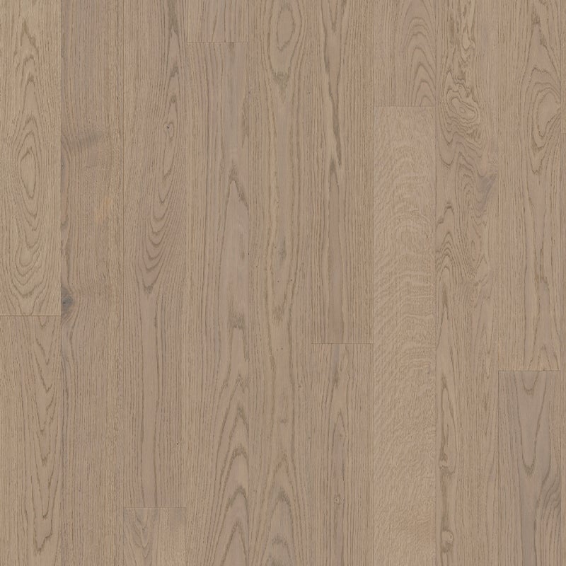 Canvas Collection - Image 4