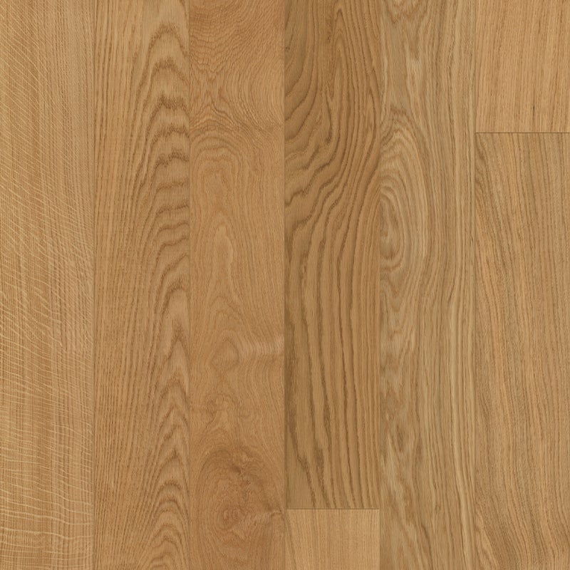 Canvas Collection - Image 3