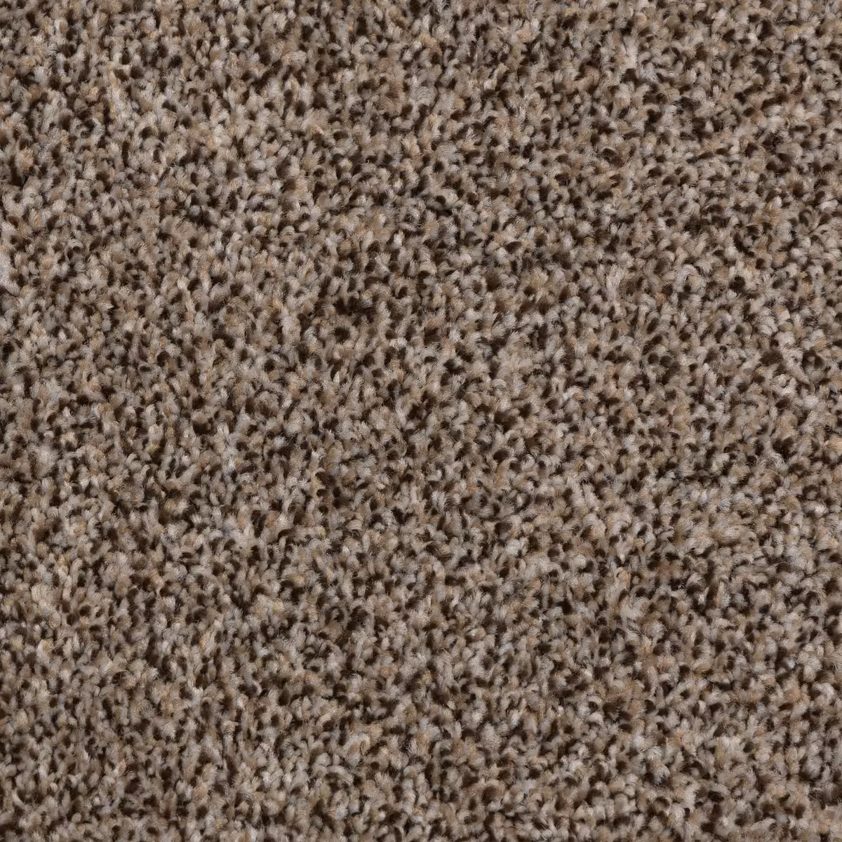 Spirited - Image 4