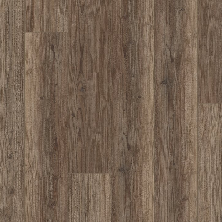 Starting Point - Image 2