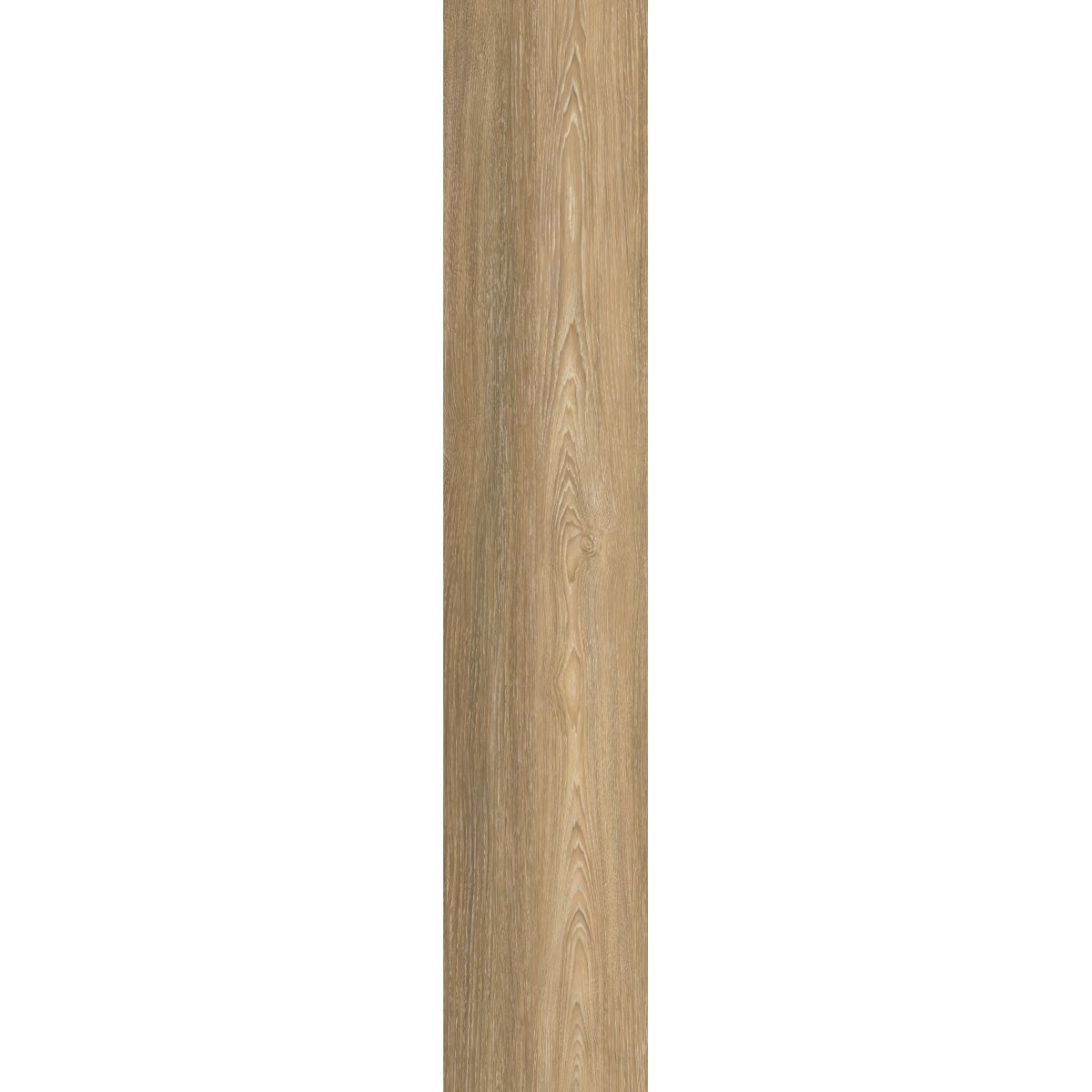 Memory - Image 3